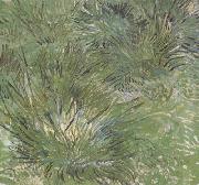Clumps of Grass (nn04) Vincent Van Gogh